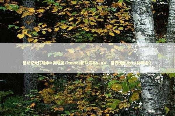 星动纪元陈建宇×斯坦福Chelsea团队发布VLAW，世界模型×VLA协同进化 新闻