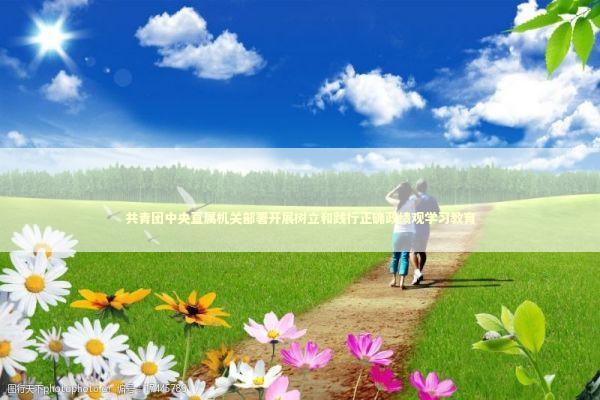 共青团中央直属机关部署开展树立和践行正确政绩观学习教育 新闻