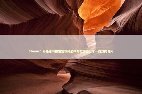 Shams:开拓者与被雷霆裁掉的扬布拉德签订了一份双向合同 Shams:开拓者与被雷霆裁掉的扬布拉德签订了一份双向合同 新闻
