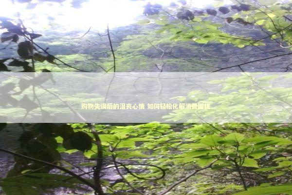 购物失误后的沮丧心情 如何轻松化解消费困扰 购物失误后的沮丧心情 如何轻松化解消费困扰 新闻