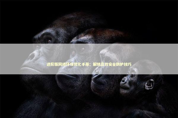 进阶版网络环境优化手册：解锁高效安全防护技巧