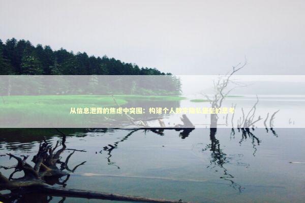 从信息泄露的焦虑中突围：构建个人数字隐私堡垒的思考 IT技术