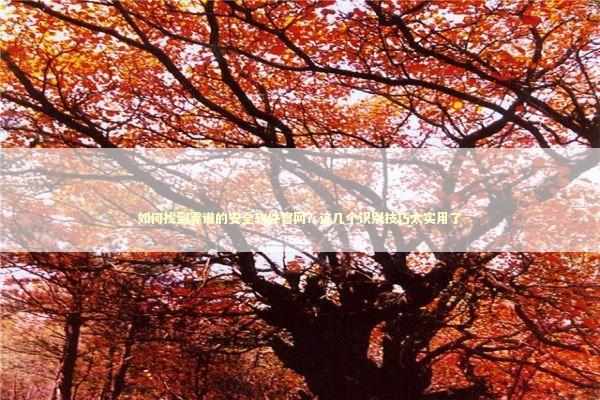 如何找到靠谱的安全软件官网？这几个识别技巧太实用了 IT技术