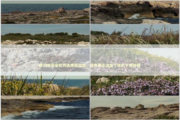 移动端安全软件选择新趋势：这些要点决定了你的下载体验